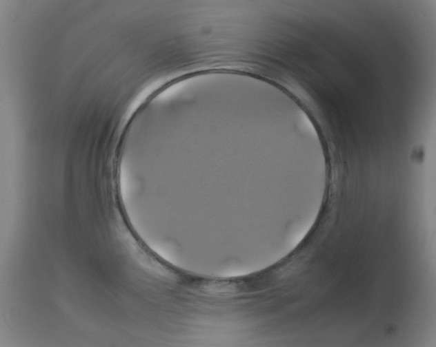 X0000113011291200910081214