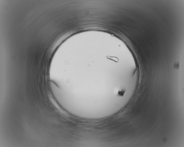 X0000113011293200910081214