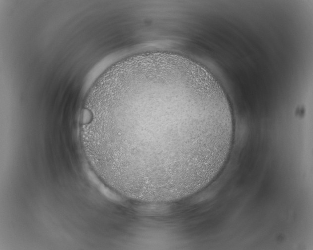 X0000113011294200910081214