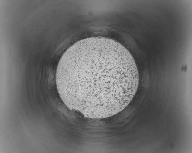 X0000113011298200910081213