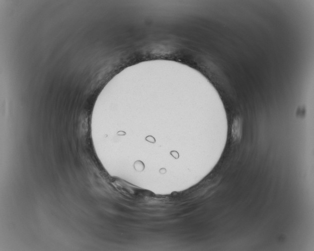 X0000113011299200910081213