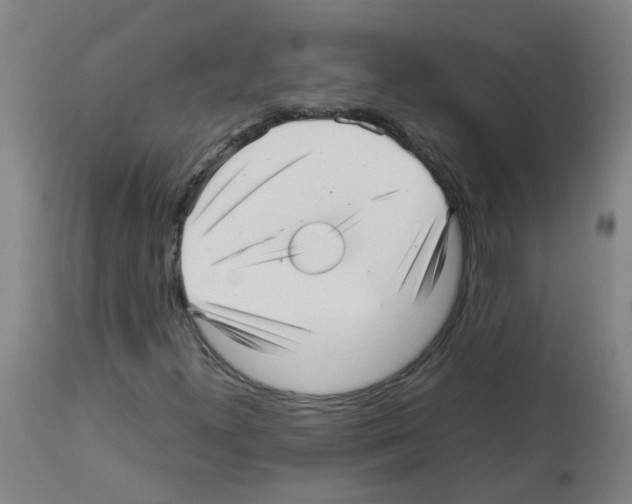 X0000113011300200910081213