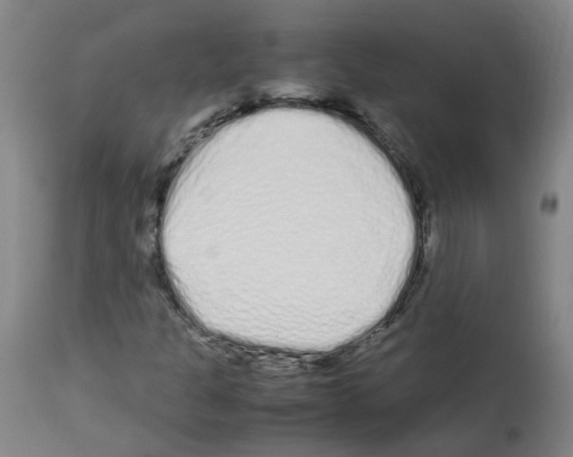 X0000113011301200910081213