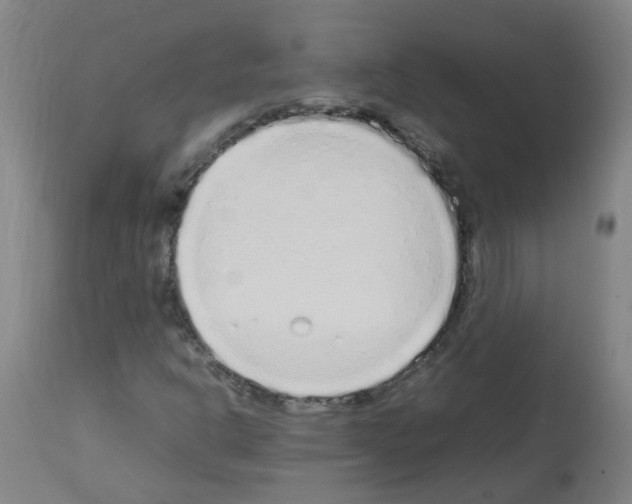 X0000113011302200910081213