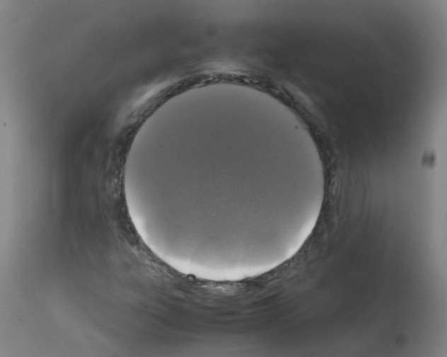 X0000113011303200910081213