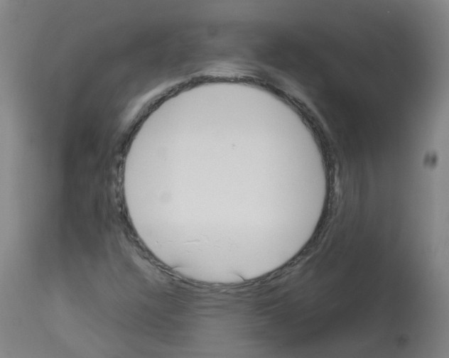 X0000113011304200910081213