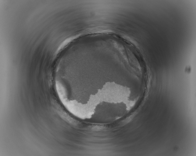 X0000113011306200910081213