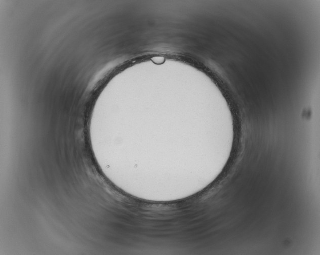 X0000113011307200910081213