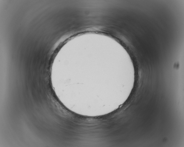 X0000113011308200910081213