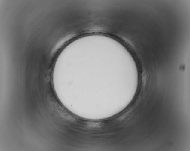 X0000113011309200910081213