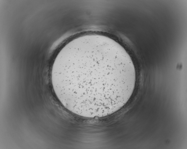 X0000113011310200910081213