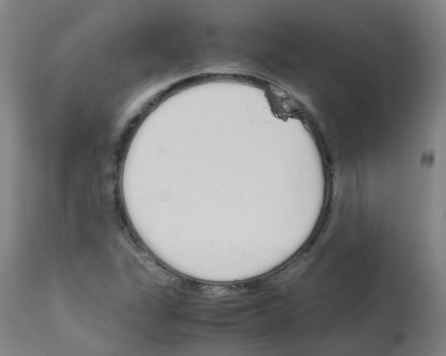 X0000113011311200910081213