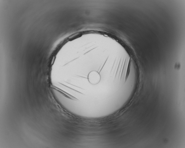 X0000113011312200910081213