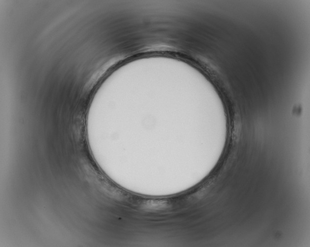 X0000113011313200910081213
