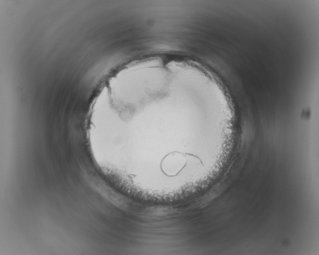 X0000113011314200910081213