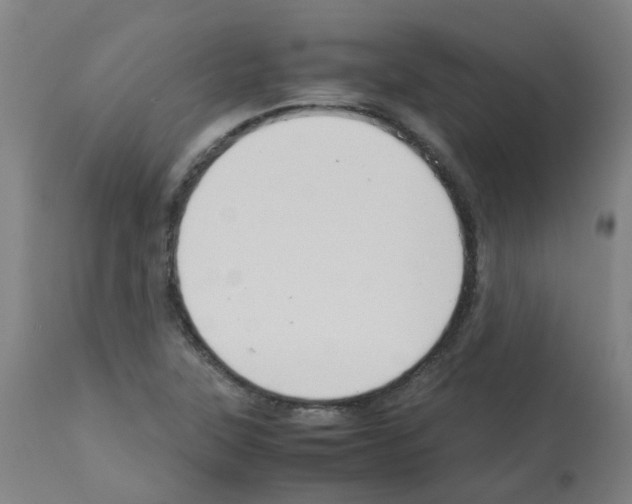 X0000113011315200910081214