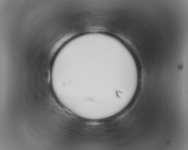 X0000113011317200910081214