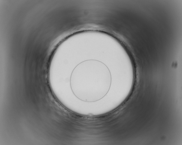 X0000113011318200910081214
