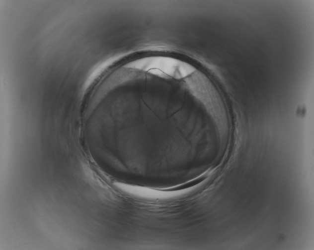X0000113011319200910081214