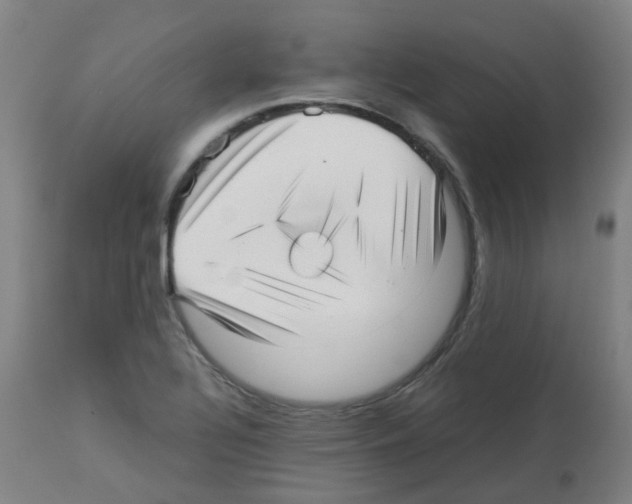 X0000113011320200910081214