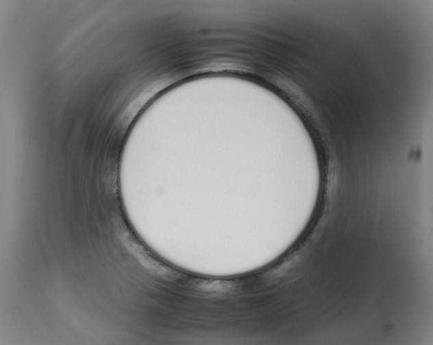 X0000113011321200910081214