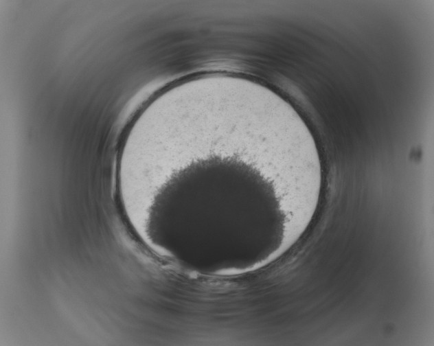 X0000113011323200910081214