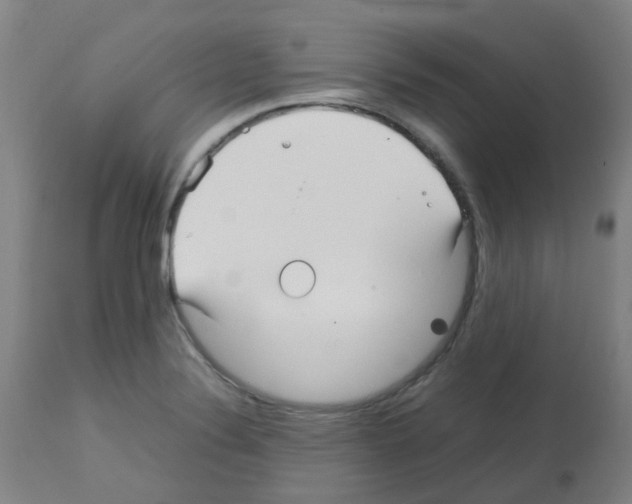 X0000113011324200910081214