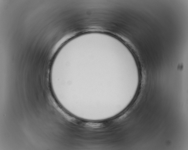 X0000113011325200910081214
