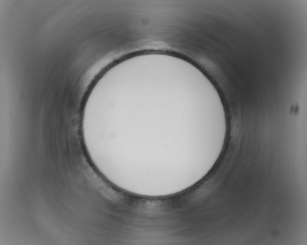 X0000113011326200910081214