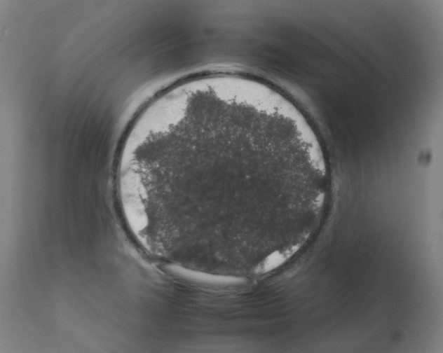 X0000113011327200910081214
