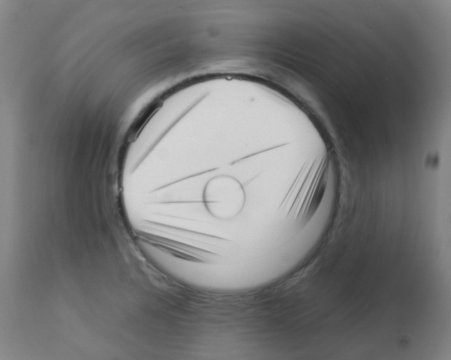 X0000113011328200910081214