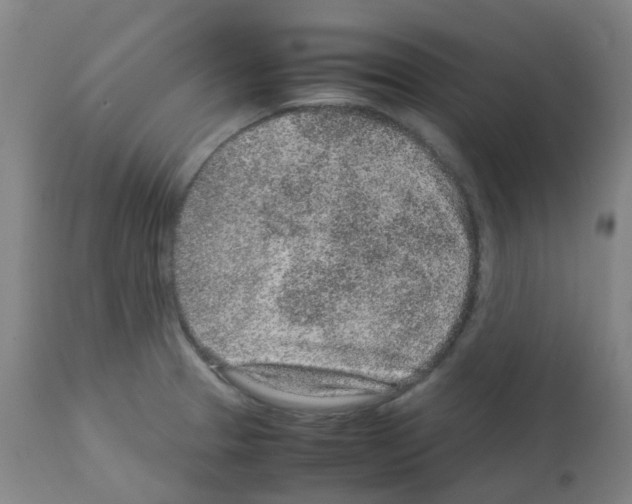 X0000113011329200910081214