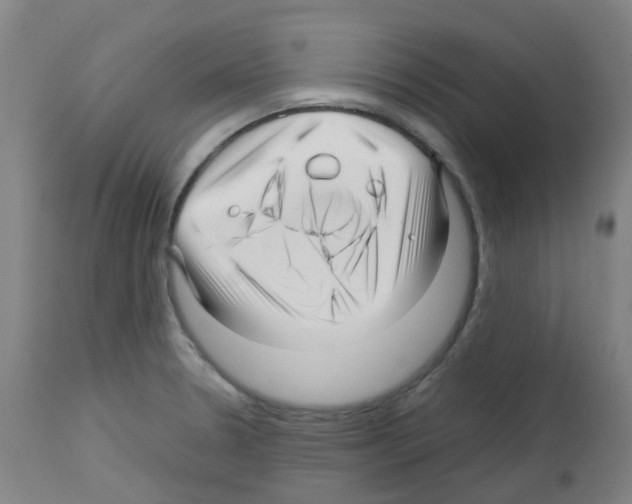 X0000113011330200910081214
