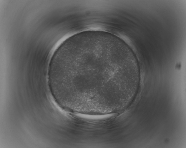 X0000113011331200910081214