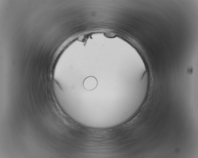 X0000113011332200910081214