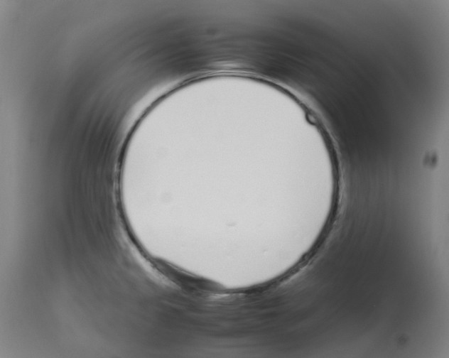 X0000113011333200910081214