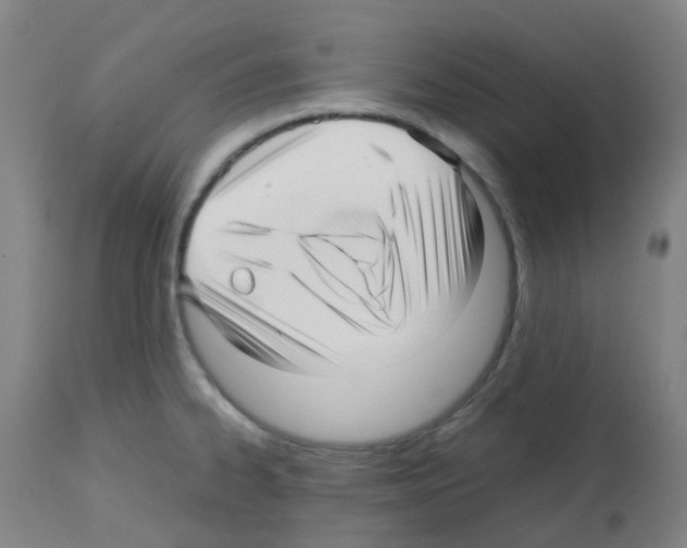 X0000113011334200910081214