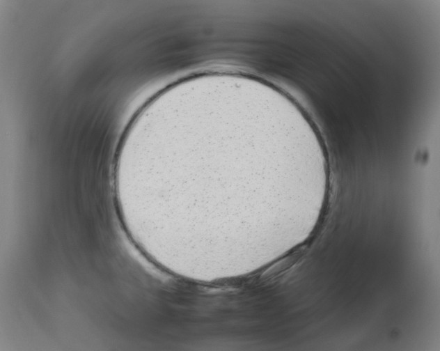 X0000113011335200910081214