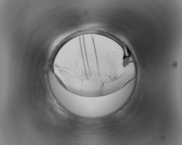 X0000113011336200910081214