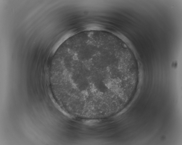 X0000113011337200910081214