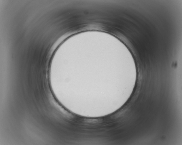 X0000113011339200910081214