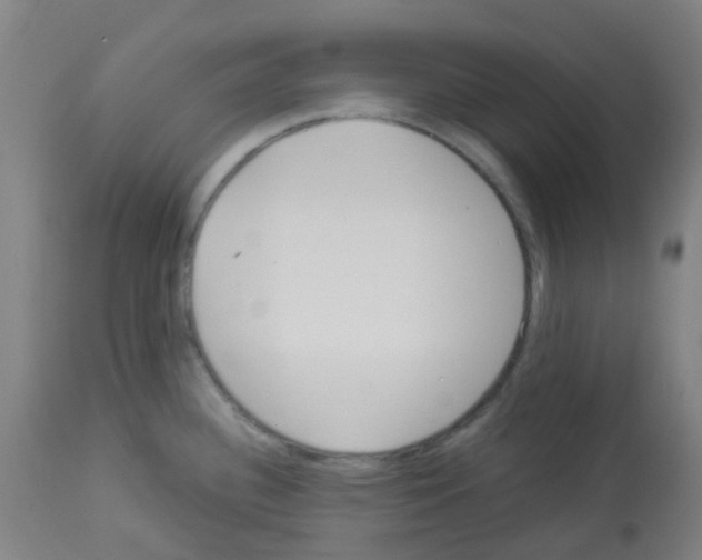 X0000113011340200910081214