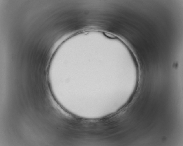 X0000113011341200910081214