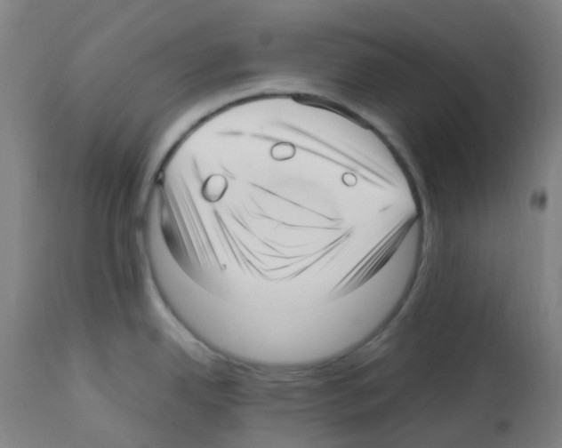 X0000113011342200910081214