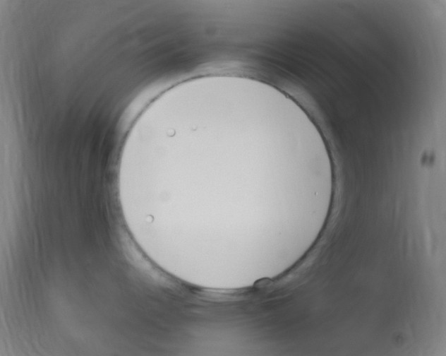 X0000113011344200910081214