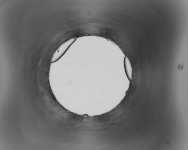 X0000113011345200910081213