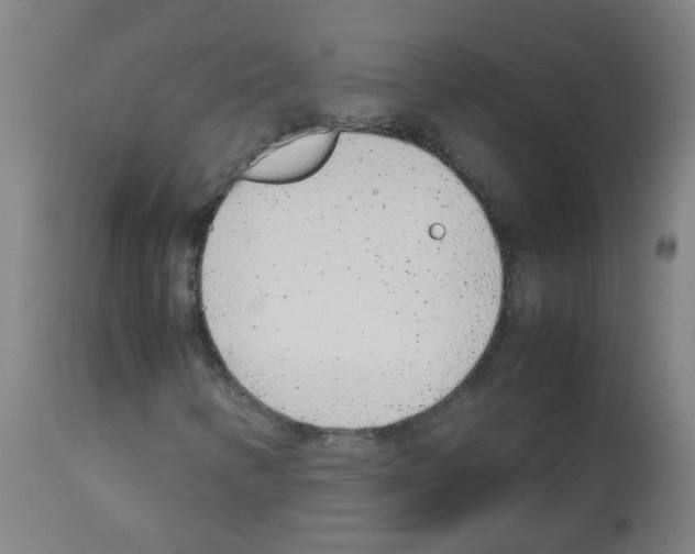X0000113011346200910081213