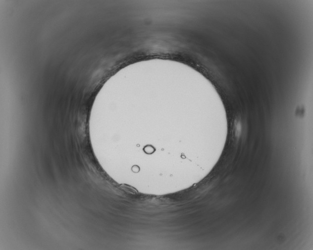 X0000113011348200910081213