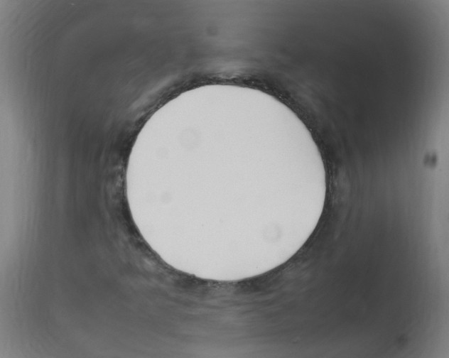 X0000113011349200910081213