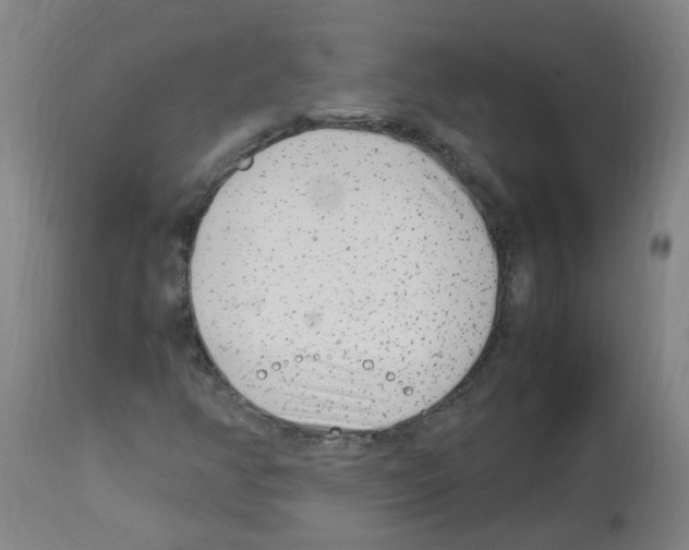 X0000113011350200910081213